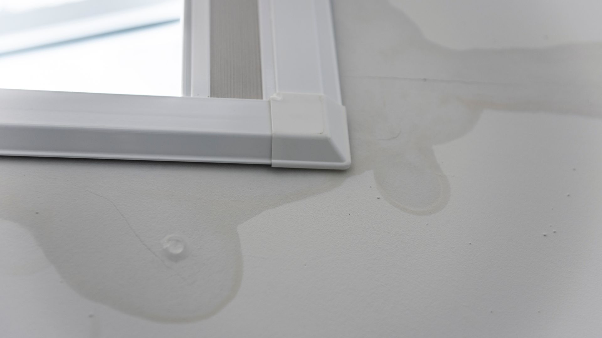 costs of postponing window replacement