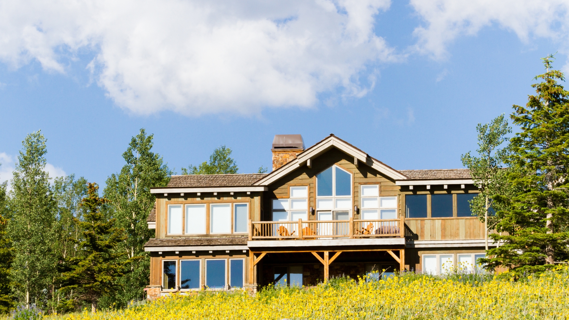 protect windows from Colorado UV rays